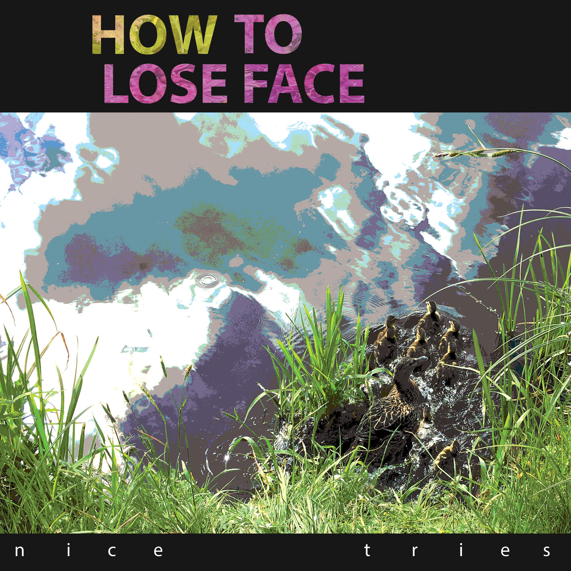 Nice Tries - How To Lose Face