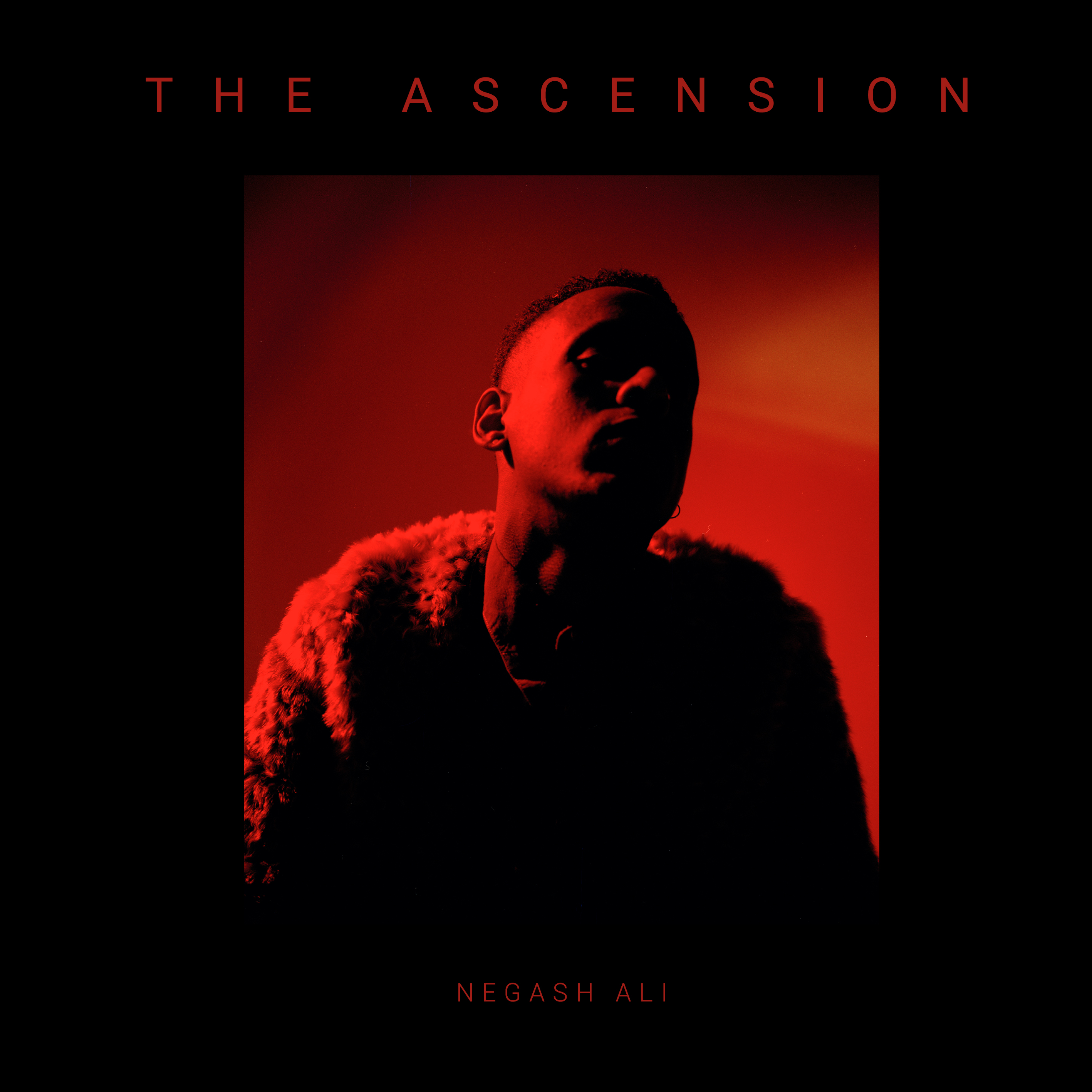 The Ascension - Negash Ali
