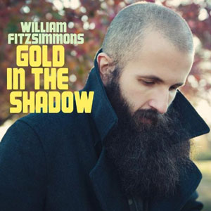 Gold In The Shadow - William Fitzsimmons