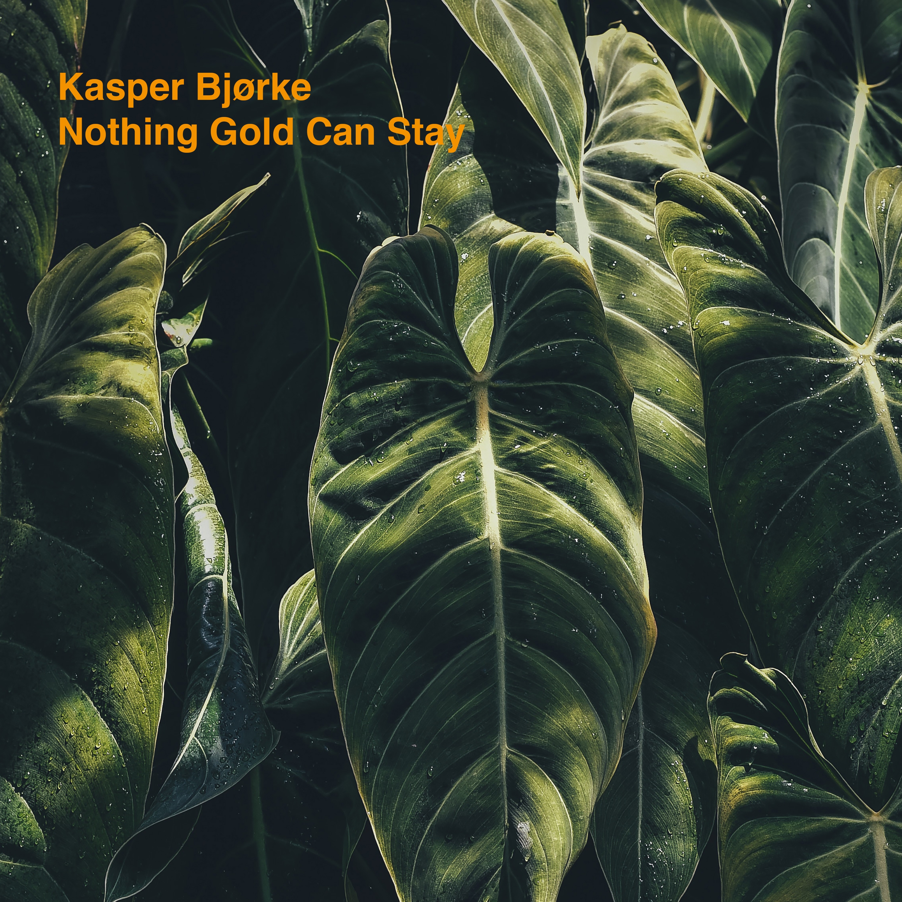 Nothing Gold Can Stay (Collected) - Kasper Bjørke
