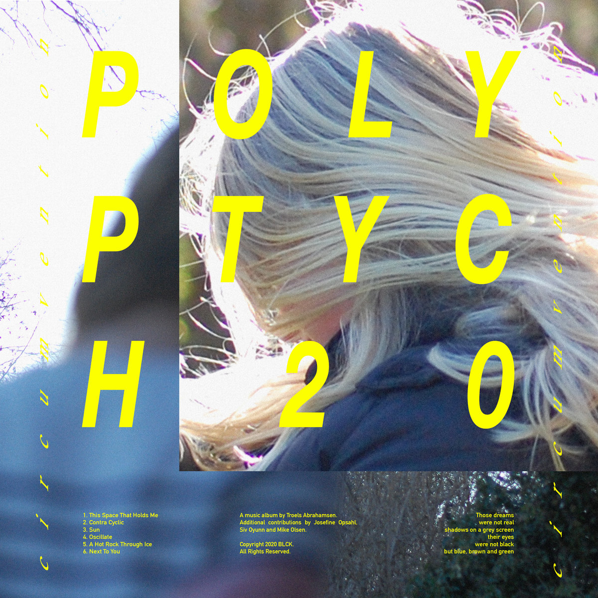 Polyptych20 / Circumvention - Troels Abrahamsen